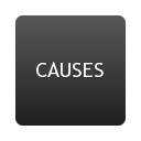 Causes